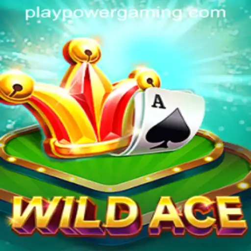 WildAce: The Thrill of POWERGAMING Casino